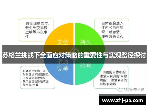苏格兰挑战下全面应对策略的重要性与实现路径探讨