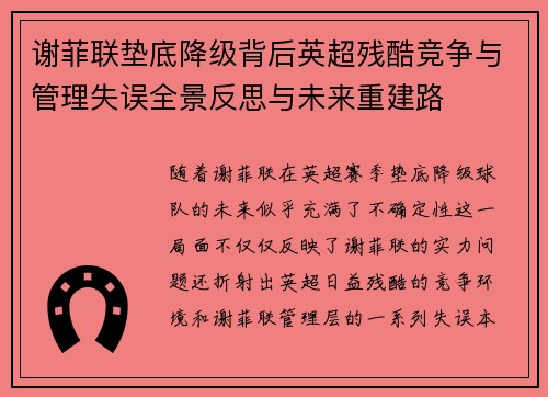 谢菲联垫底降级背后英超残酷竞争与管理失误全景反思与未来重建路
