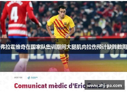 弗拉霍维奇在国家队集训期间大腿肌肉拉伤预计缺阵数周